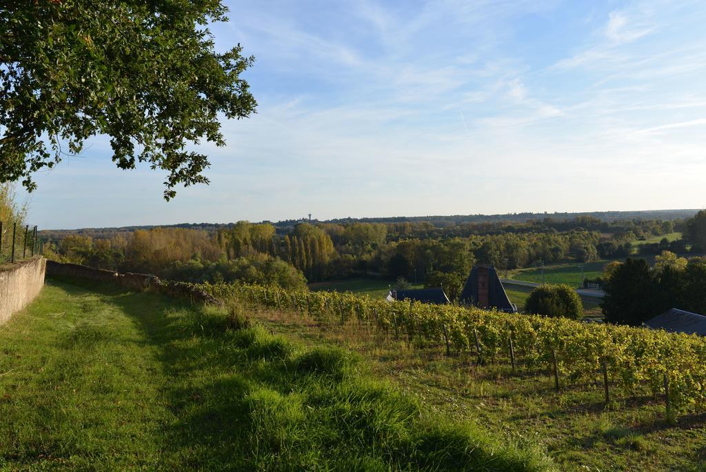 Gites Troglodytes Du Chateau De L'Etoile Vernou-sur-Brenne Habitación foto