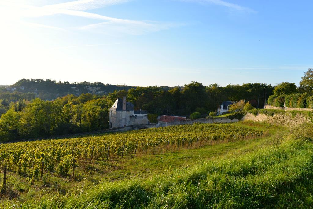 Gites Troglodytes Du Chateau De L'Etoile Vernou-sur-Brenne Habitación foto