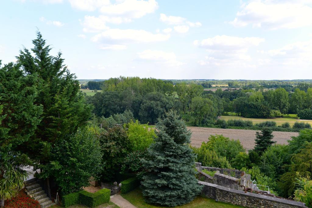 Gites Troglodytes Du Chateau De L'Etoile Vernou-sur-Brenne Habitación foto